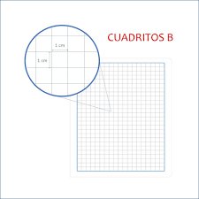 CUADERNO COSIDO 100 TIPO B IMÁGENES CUADROS DE 1 CM