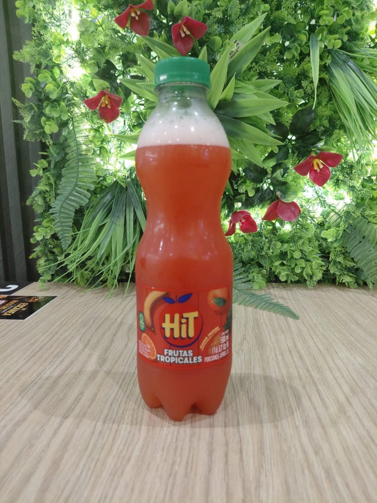 JUGO HIT BOTELLA 500ML