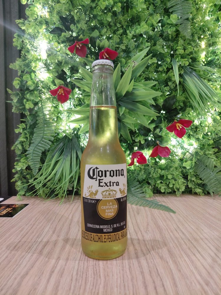CERVEZA CORONA