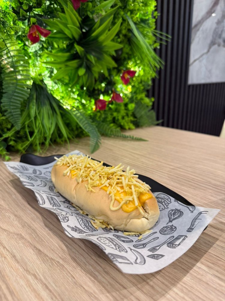 PERRO AMERICANO