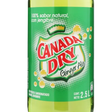 Ginger Ale PET 2,5L