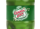 Ginger Ale PET 355ml