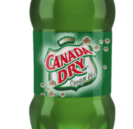Ginger Ale PET 600ml