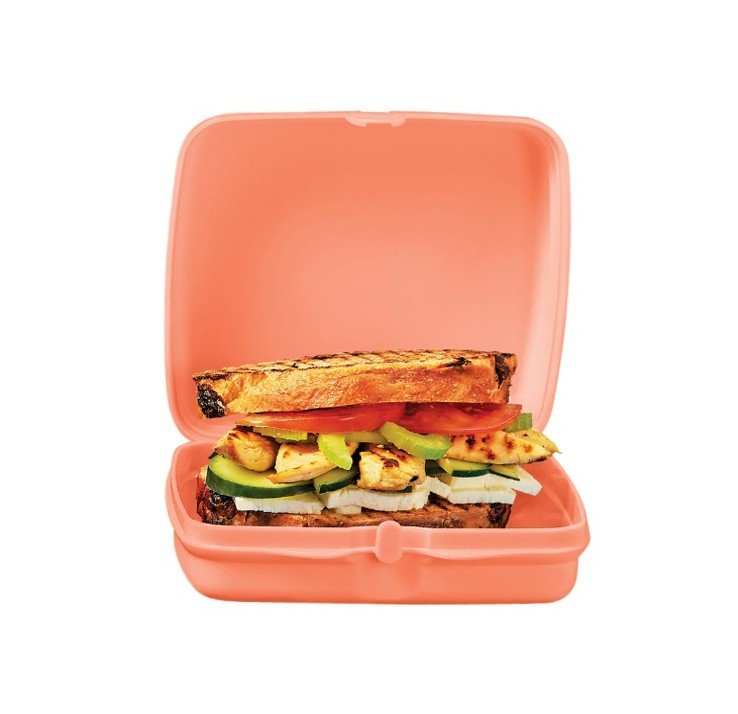 Cuadrilunch salmón