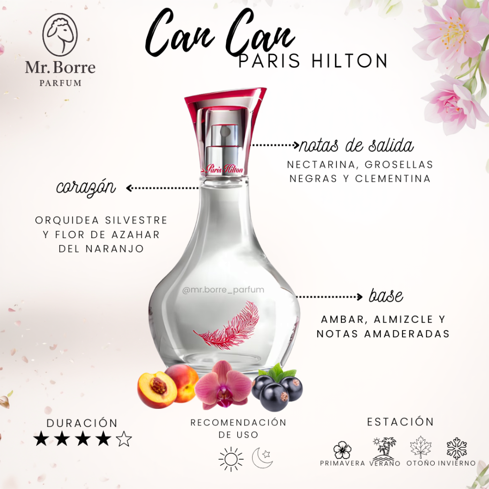 Paris Hilton Can Can