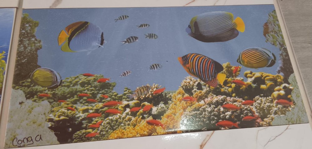 Cenefa conga multicolor 30x60