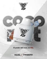 VIZZEL COCO AGUA