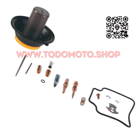 REPARACION CARBURADOR - SCOOTER 150/ VX 150/ ELITE 150