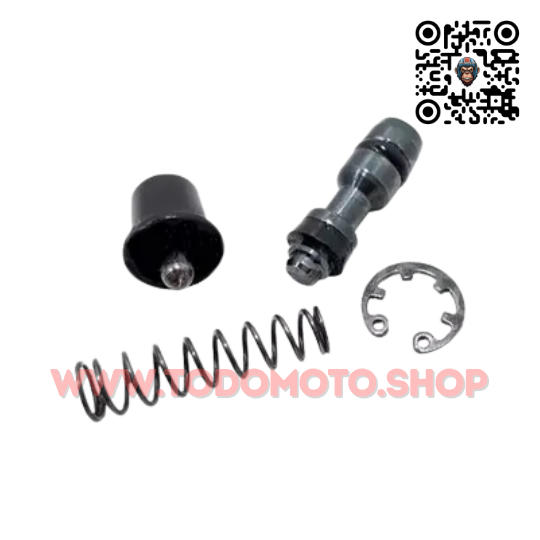REPARACION BOMBA DE FRENO DELANTERO - ROUSER NS 200 - HADA