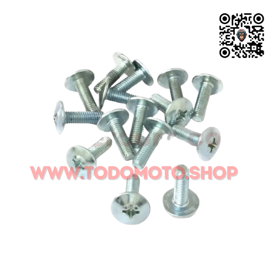 TORNILLOS PHILLIPS PARA CACHAS - 6mm - BULON