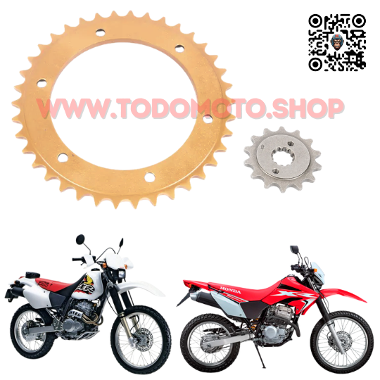 CORONA Y PIÑON - HONDA XR 250 TORNADO - ALEN CREUSO (TRANSMISION)