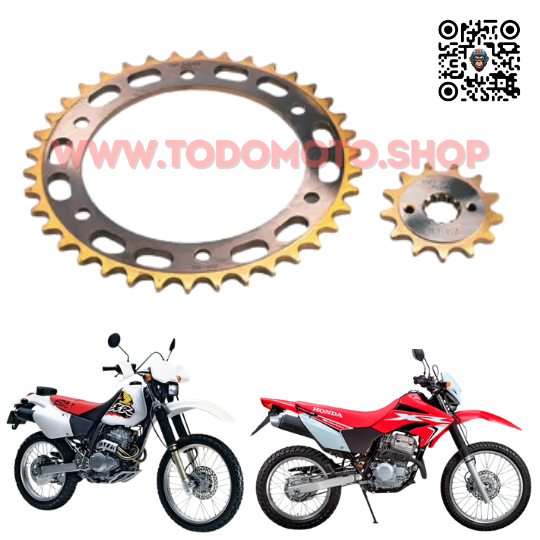 CORONA Y PIÑON - XR 250 TORNADO - PREMIUM (TRANSMISION)