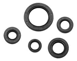 RETENES MOTOR - SKUA/ RX150/ HUNTER/ ZR/ TRIAX/ SAHEL/ STORM 125/ X3M/ DAKAR/ VC150 (KIT)