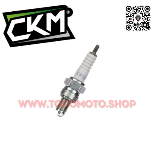BUJIA CKM CPR8EA9 - BIZ 125/ WAVE S/ TITAN/ XR150/ BAJAJ 200 - 250