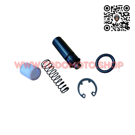 REPARACION BOMBA FRENO TRASERO - ROUSER NS 200 - HADA