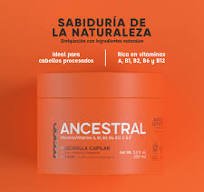 POCION MASCARILLA DE REPARACION X 350ML