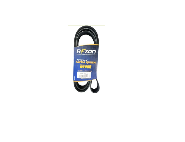 Correa Compresor Alternador - A/A Vision/Granite MP8 REXON