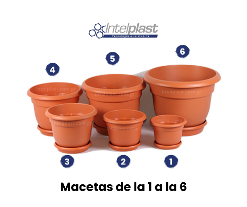 Maceta Terracota con Base