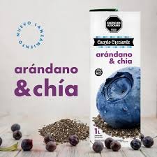 CCR JUGO TETRA ARANDANO/CHIA 1L