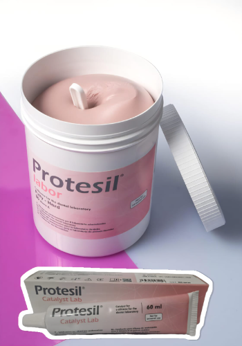 Protesil Labor 2kg + Catalizador 60ml Vannini
