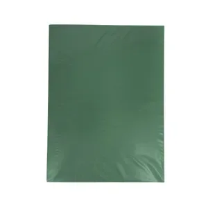 Carpeta Plastica S/A Verde