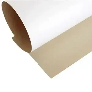 Carton Forrado Blanco 255gr 77x110cm
