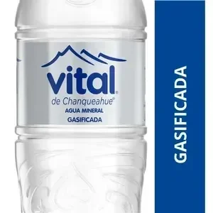 Agua Vital 1.6 Lts Con Gas