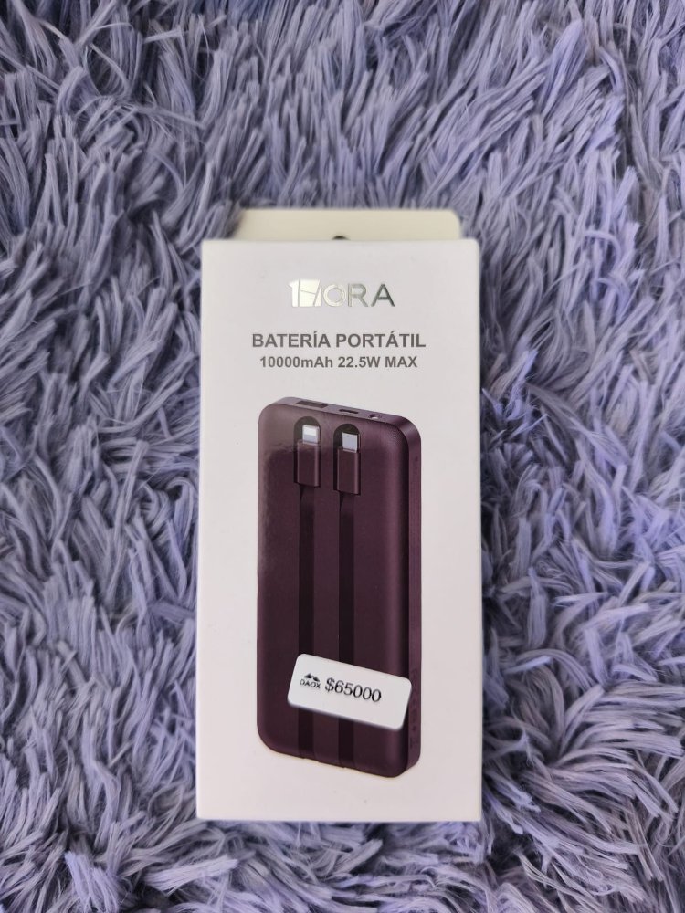 69749 - POWER BANK BAT101 1HORA