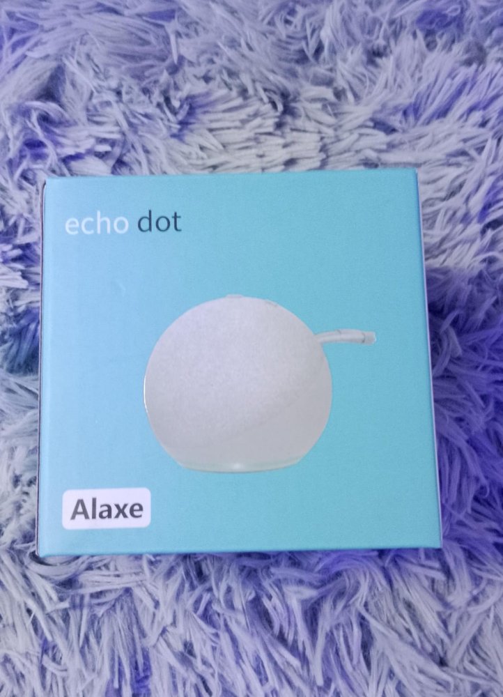 02341 - ALEXE ECHO DOT