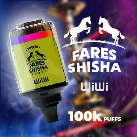 WIWI 100K