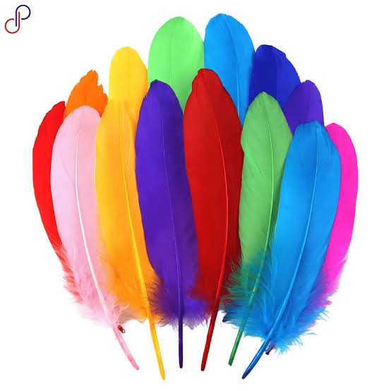Plumas X12