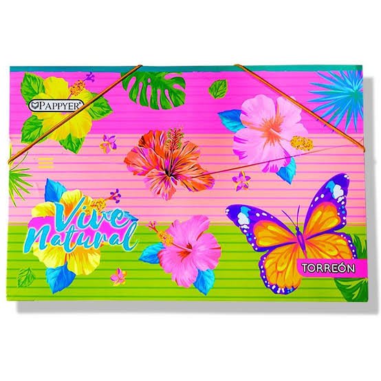 Carpeta fuelle escolar