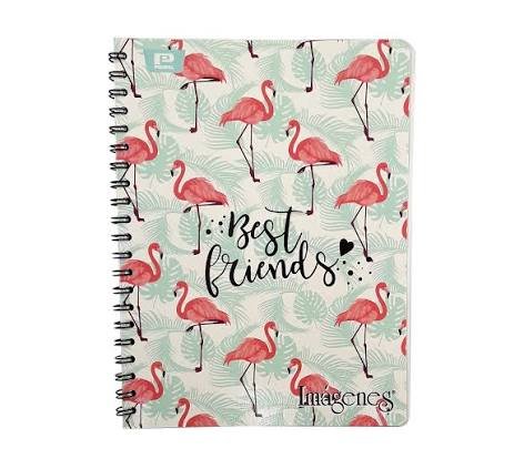 Cuaderno grande argollado - 80 h
