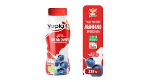 YOGURT-ARÁNDANO