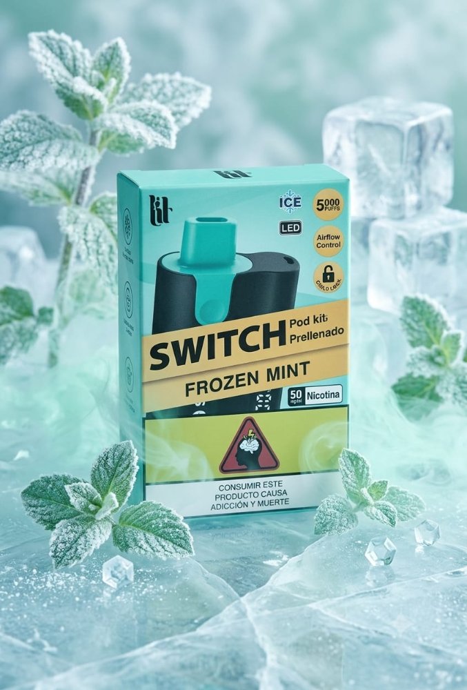 vaper recargable 5000 puff frozen mint