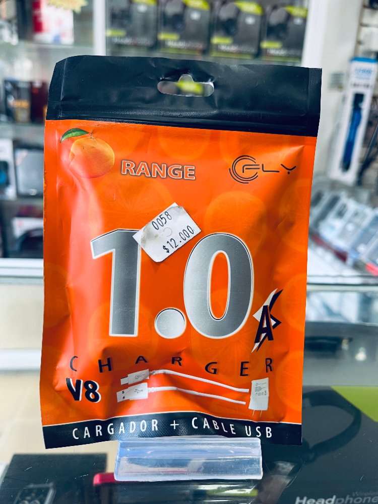 CARGADOR FLY 1.0