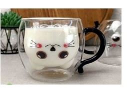 Gato transparente
