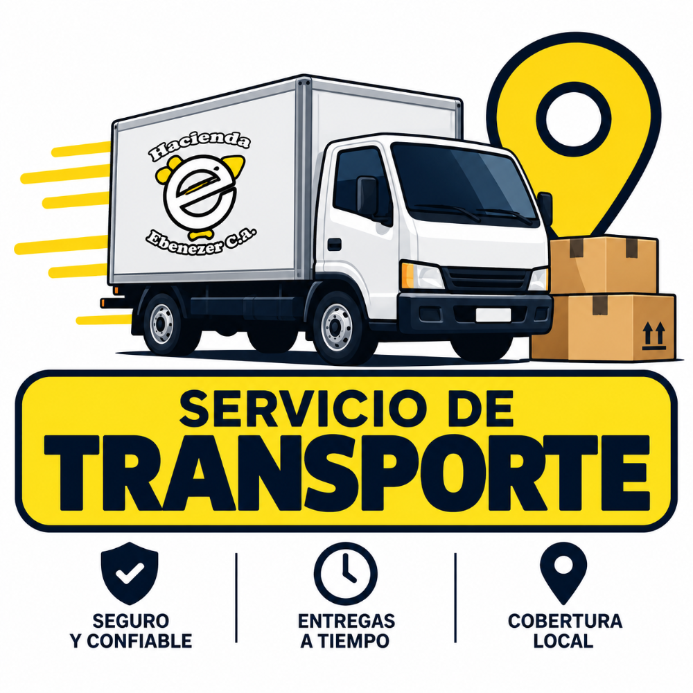 SERVICIO DE TRANSPORTE