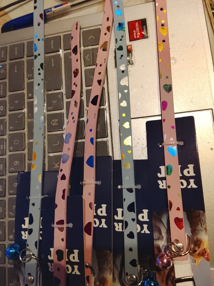 COLLAR PEQUEÑO CON HOLOGRAMA