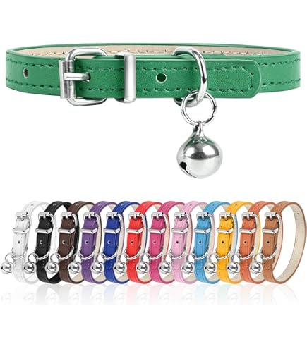 COLLAR PEQUEÑO COLORES