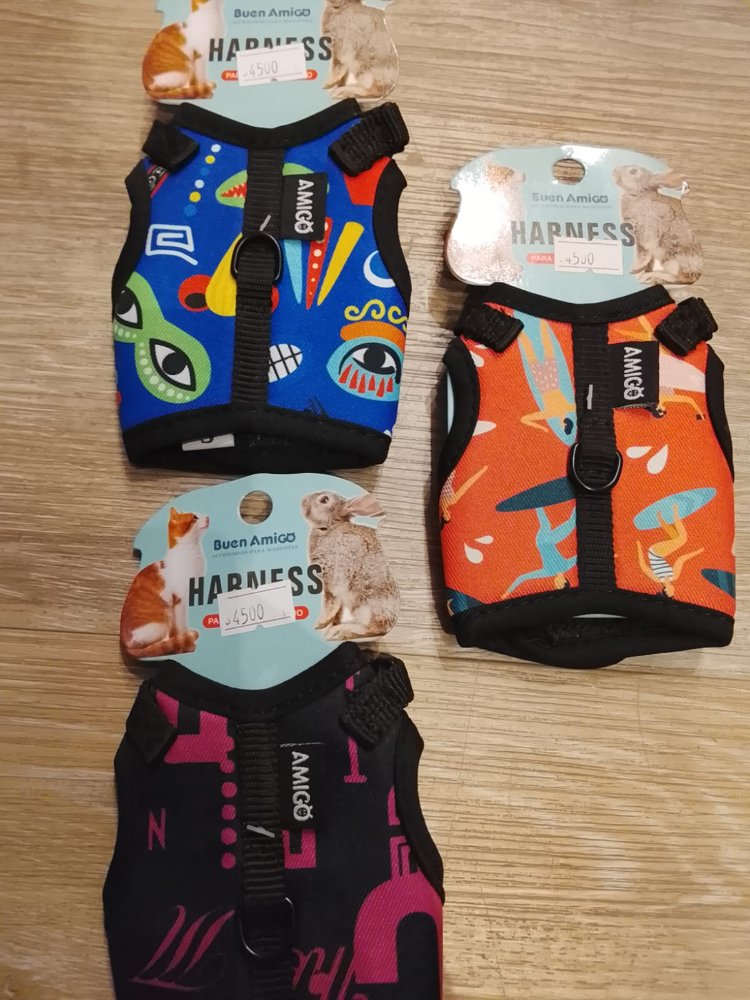 ARNES MINI