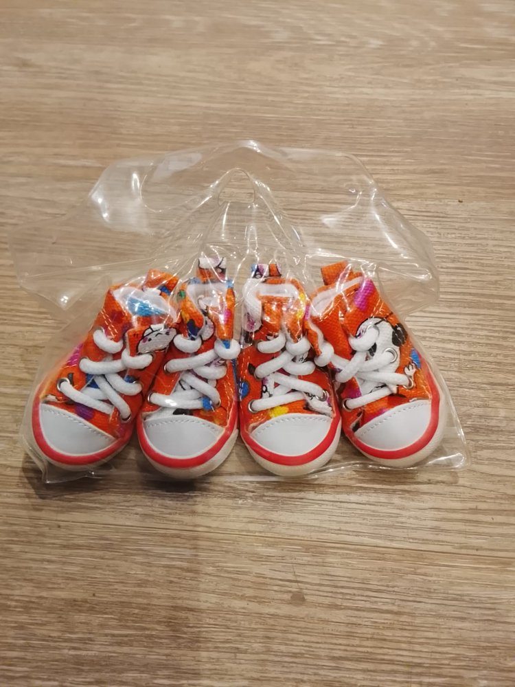 ZAPATILLAS CON CORDON