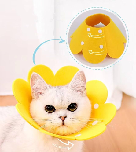 CUELLO ISAABLINO FLOR GATO TALLA M