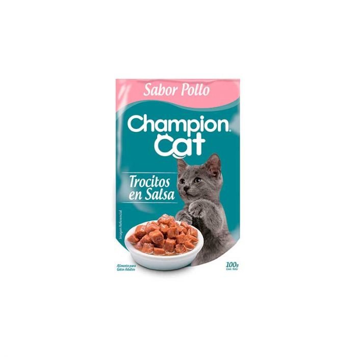 SOBRE CHAMPION CAT GATITO