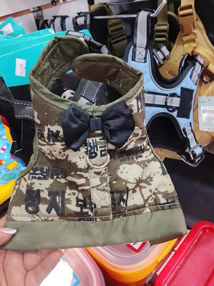 ARNES PECHERA MILITAR