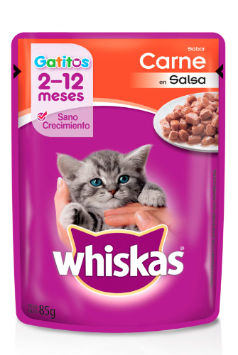 SOBRE WISKAS GATITO