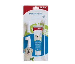 KIT HIGIENE DENTAL PERRO BIOLINE MENTA