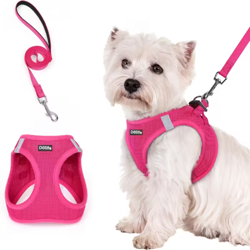 ARNES PERRO TALLA M