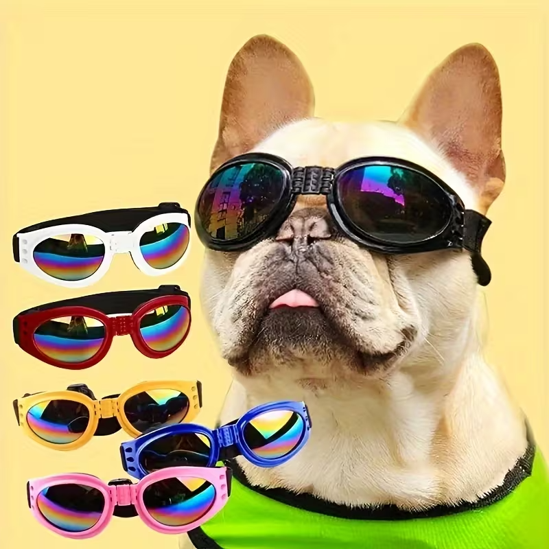 LENTES PARA PERRO VEHICULO