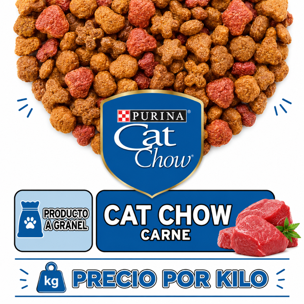 CAT CHOW CARNE GRANEL
